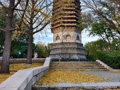-玲珑塔公园