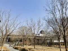 -莲花池公园