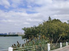 -贡湖湾湿地公园