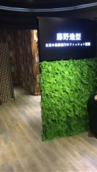 点击看大图 -藤野造型