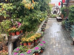 -慢丽江·云南野生菌土鸡锅(付家庄店)