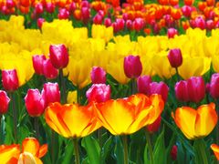 -北京植物园南门售票处