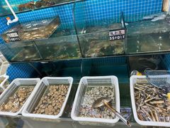 -兆辉木炭海鲜烧烤·海鲜小炒