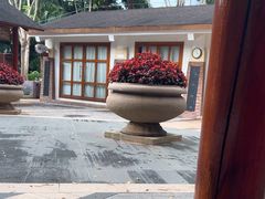 -碧水湾温泉