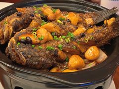 豆豉石头鱼-七仙岭君澜度假酒店·桃源小馆中餐厅