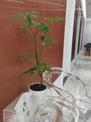 -北京英煌医疗美容·轻颜六区注射修复