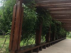 -北京政法职业学院(大兴校区)