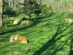 -北京野生动物园