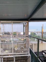 -小蜜蜂农场(凯德七宝购物广场店)