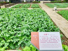 景点-张闻天故居