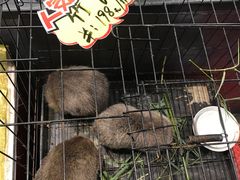 -爷爷的草帽·海鲜馆(孙塘路店)