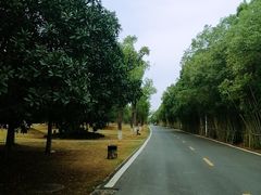 -艾溪湖湿地公园