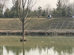 -洨河生态公园