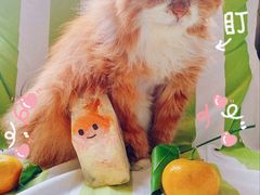 -Fruwich果明治(西单更新场店)