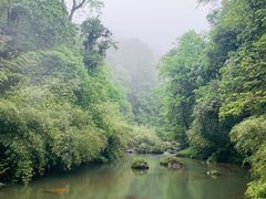 -龙苍沟森林公园
