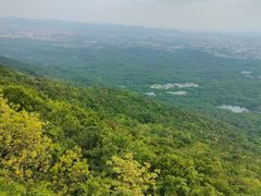 -紫金山山顶公园