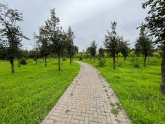-东郊湿地公园