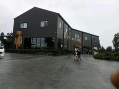 -济州岛泰迪熊博物馆