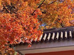 -淮扬府(安定门店)