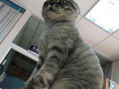 -瑞派·关忠动物医院(国瑞店)