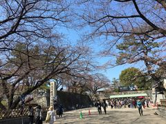 -名古屋城