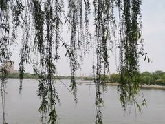 -济南大明湖景区