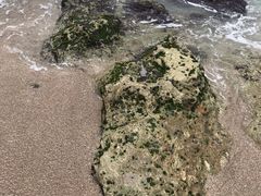 -白沙湾海滩