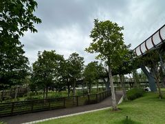 -王借岗森林公园