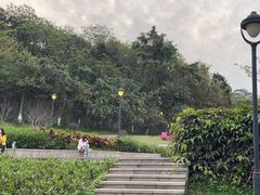 -佛山华盖山公园