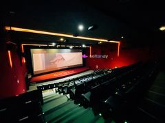 -华隶影城CINITY120帧(华创店)