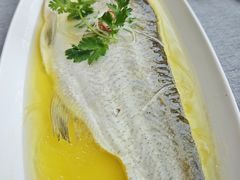 鸡汁蒸大白鱼-羲和雅苑•北京烤鸭(平安国际金融中心店)