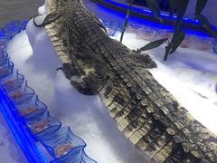 -澜悦港海鲜体验主题餐厅