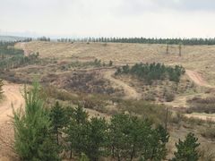 -鄂尔多斯野生动物园