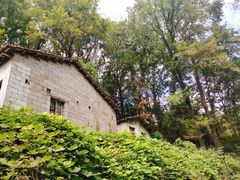 -素山寺森林公园