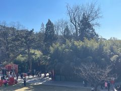 -红螺寺