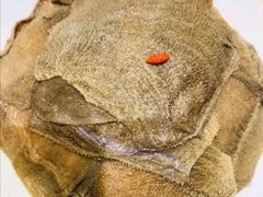 -凤来栖·净庭院·火锅(欧尚店)