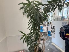 -Blueglass酸奶(上生新所店)