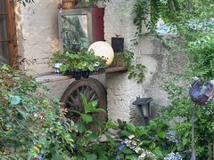 -Jo's Garden