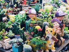 -双季花艺园艺市场(浦东店)