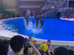 -帝企鹅自助餐厅•儿童岛•真企鹅(长隆企鹅酒店)