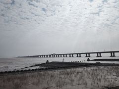 -南汇新城海滩