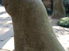 -天一阁博物院
