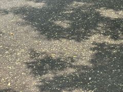 -香满锅老北京羊蝎子火锅·家常菜(新街口店)