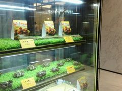 -西湖春天•老字号杭州菜(百汇店)