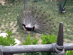 iphone_upload_pic-天目湖山水园