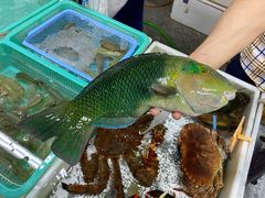 -海儀美食楼(湾仔海鲜街店)