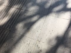 -东北公社(北京路店)