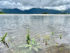 -玉湖村