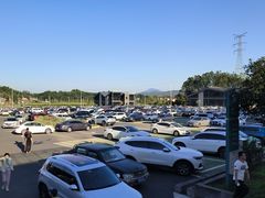 -大余丫山旅游度假区