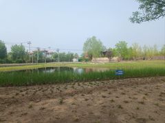 -张家湾公园